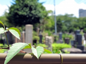 お墓じまい、遺骨の行先新しいお墓